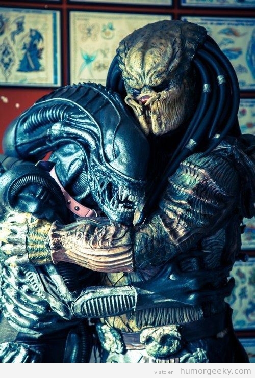 alien-predador-historia-de-amor1